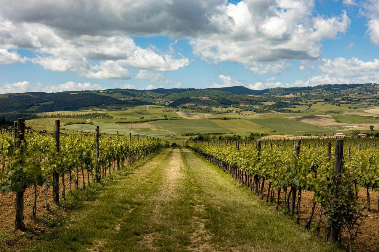 Sce Quiric Villa San Quirico dʼOrcia Buitenkant foto